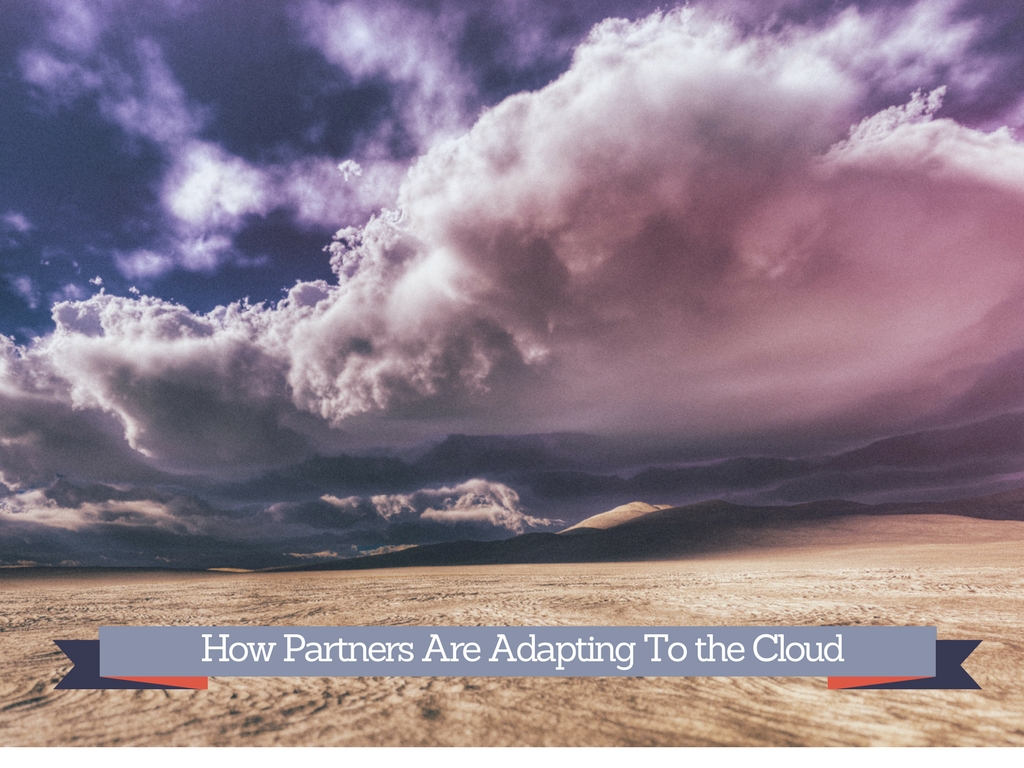 How Partners Are Adapting to the Cloud