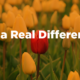 A solid B2B marketing strategy requires differentiators that actually stand out.