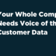 Customer Experience Research