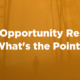 Market Opportunity Study