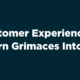 B2B Customer Experience Research