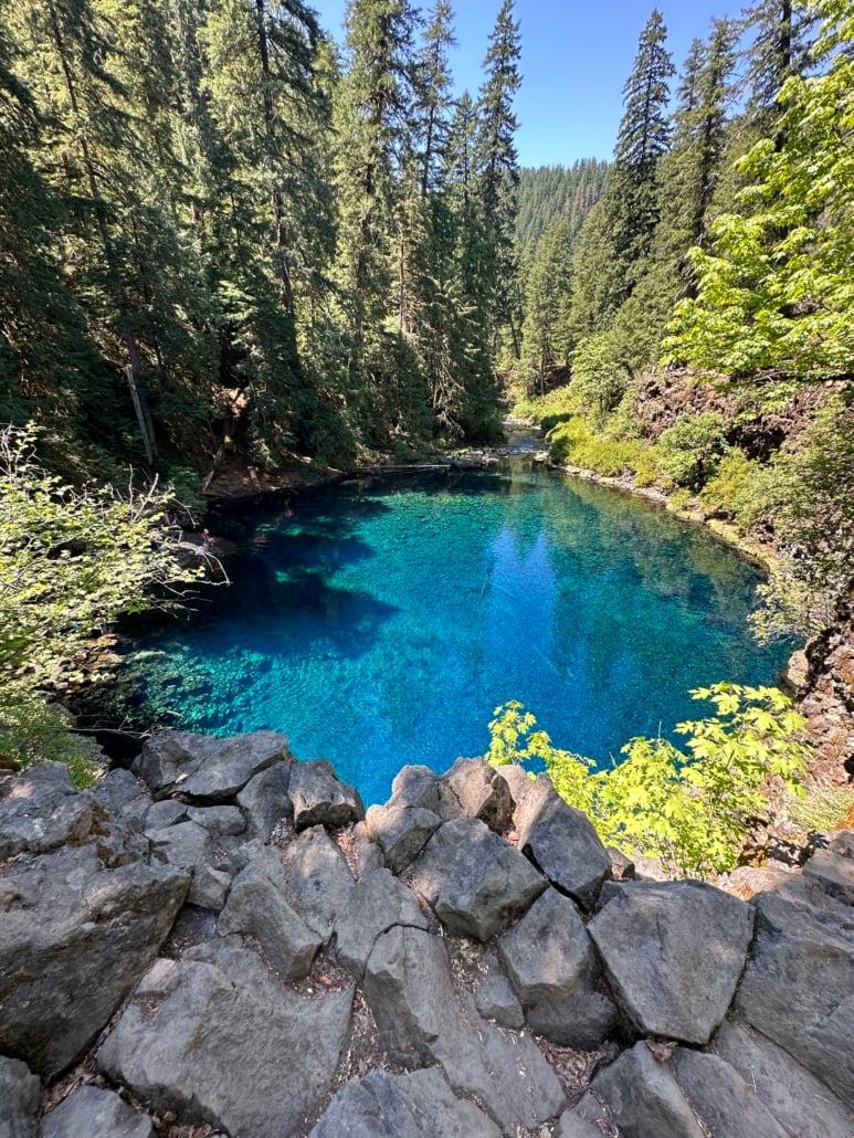 Tamolich Blue Pool