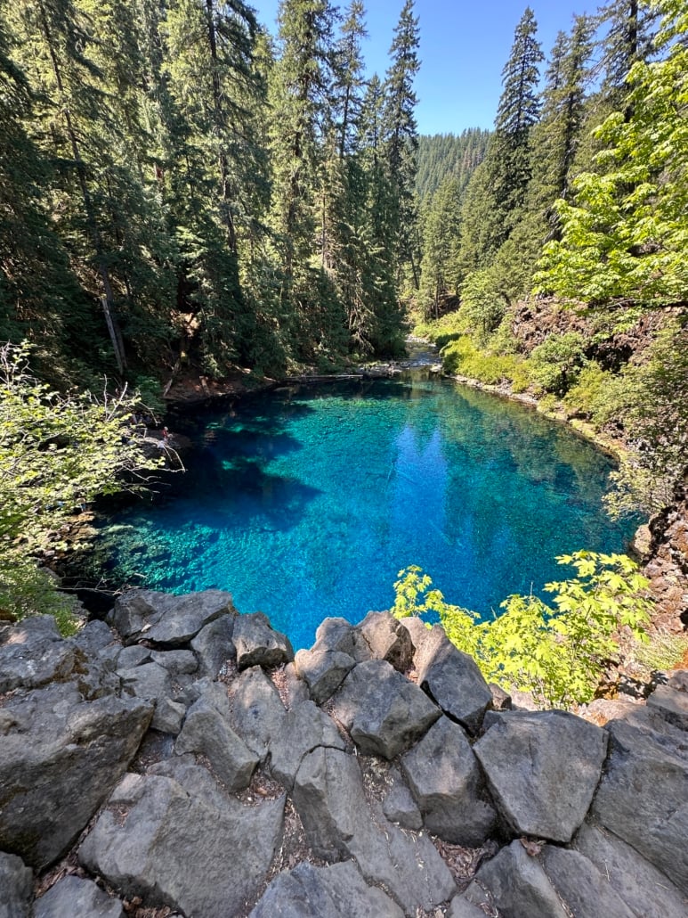 Tamolich Blue Pool